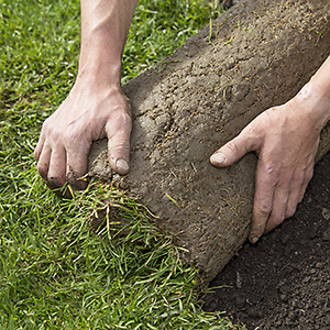 Rohrer Gartenbau Rollrasen verlegen